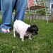 Ruby Coats Photo 12