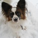 Jesse Winters Photo 39