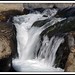 Douglas Creek Photo 7