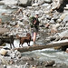 Kristin Newton Photo 14