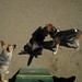 Lucy Kramer Photo 11