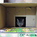 Bruce Combs Photo 21