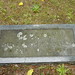 Ronald Gregory Photo 21