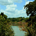 Sherry Rivers Photo 15