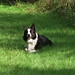 Megan Collie Photo 3