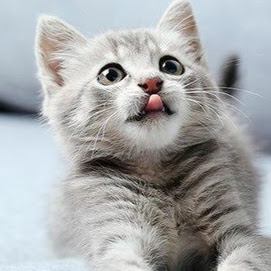 Juana Fernandez Photo 27 Juana Fernandez Photo 27