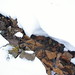 Jan Slack Photo 10