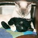 Jim Blue Photo 31