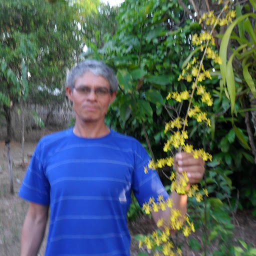 Jose Araujo Photo 9