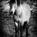 Michelle Geiger Photo 33