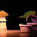 Joy Harris Photo 21
