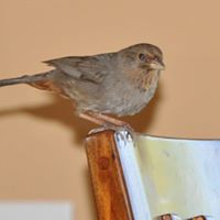 Ann Funk Photo 10