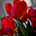 Amy Peebles Photo 24