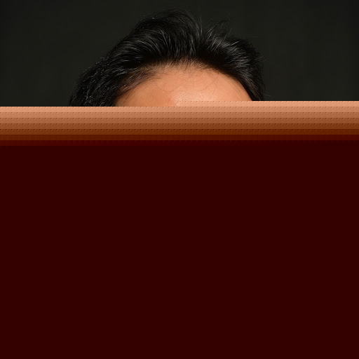Henry Vo Photo 24