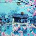 Ban Ho Photo 14