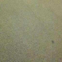 Jeffery Benjamin Photo 2