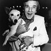 Alan Freeman Photo 36