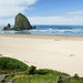 Sandy Cannon Photo 15