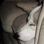 Lisa Farris Photo 4