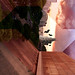 Jonathan Mapas Photo 9