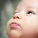Jacob Cheek Photo 15