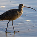 Bill Bird Photo 33