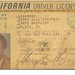 Gail Driver Photo 25