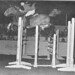 Laurie Parnell Photo 15
