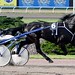 Johnny Trotter Photo 22