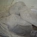 Mary Knight Photo 50