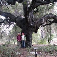Cynthia Crowe Photo 39