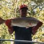 Scott Moffitt Photo 17