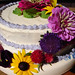 Frances Wise Photo 27
