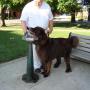 Robert Cobbs Photo 17