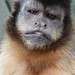 Ricky Bunch Photo 14