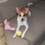 Anne Shaw Photo 22