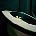 Jonathan Fuller Photo 16