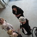 Ann Henson Photo 33