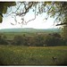 Mable Summers Photo 8