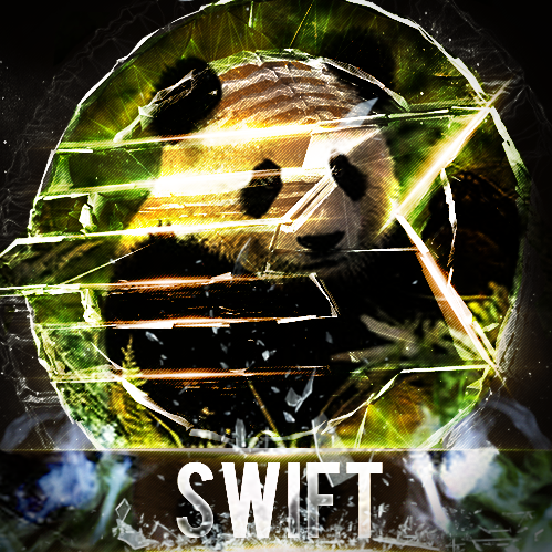 Aaron Swift Photo 43