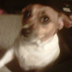 Connie Cryderman Photo 3