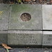 Will Curtis Photo 16