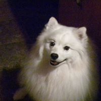 Wendy Hendrickson Photo 9