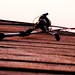 Rod Sommers Photo 5