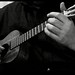 John Howlett Photo 34