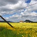 Rachel Kerns Photo 20