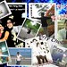 Terry Chen Photo 45