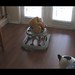 Jackson Conner Photo 16
