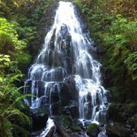 Kevin Cavanagh Photo 28