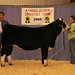 Becky Gleason Photo 15